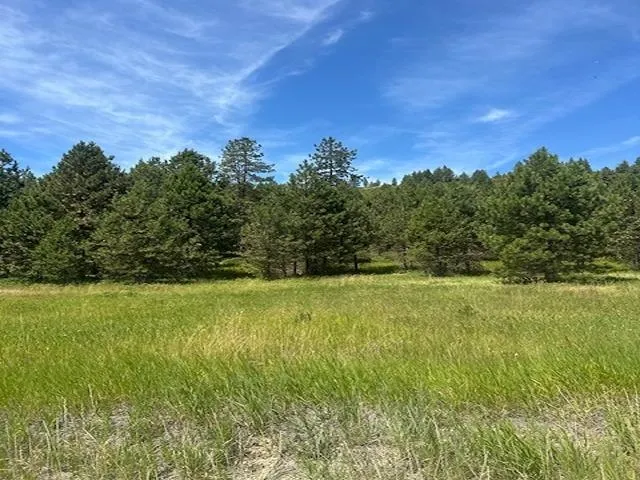 $130,000 | 46-xx Springdale Hunters Road, Springdale, WA 99173