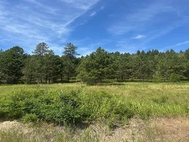 $130,000 | 46-xx Springdale Hunters Road, Springdale, WA 99173