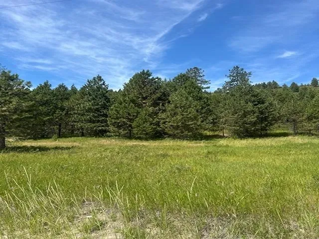 $130,000 | 46-xx Springdale Hunters Road, Springdale, WA 99173