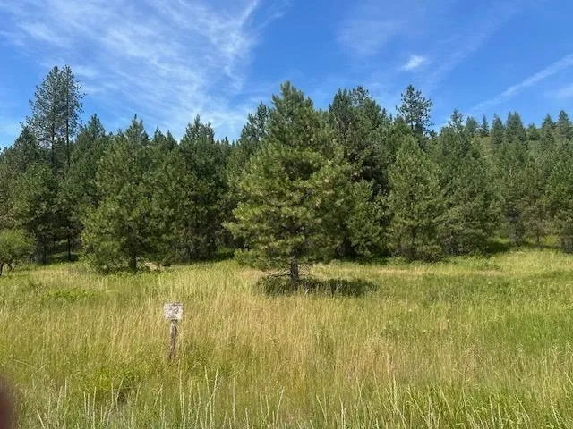 $130,000 | 46-xx Springdale Hunters Road, Springdale, WA 99173