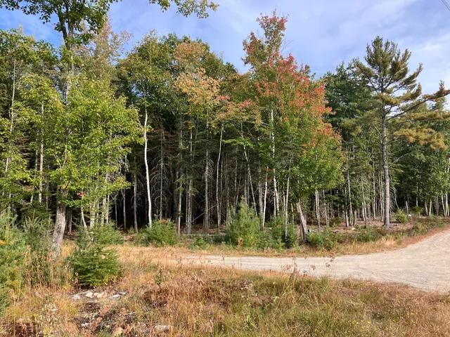 $199,000 | Lot 5 Bluff Road, Bar Harbor, ME 04609
