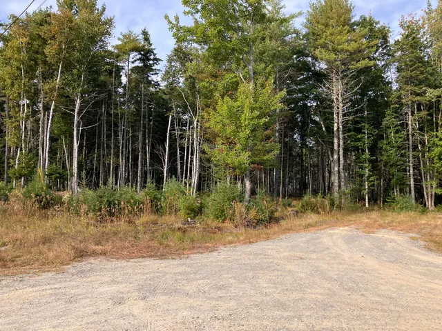 $199,000 | Lot 5 Bluff Road, Bar Harbor, ME 04609
