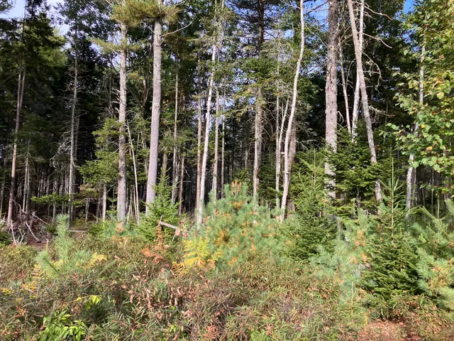 $199,000 | Lot 5 Bluff Road, Bar Harbor, ME 04609