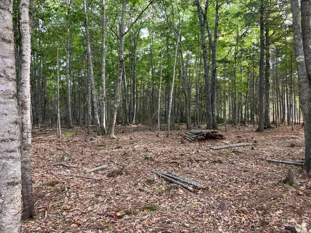 $199,000 | Lot 5 Bluff Road, Bar Harbor, ME 04609
