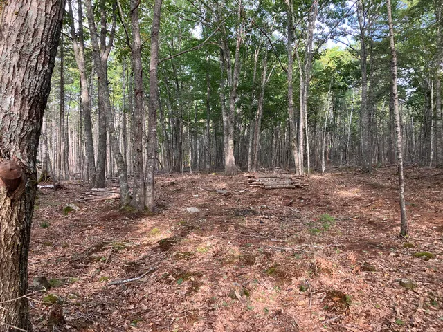 $199,000 | Lot 5 Bluff Road, Bar Harbor, ME 04609