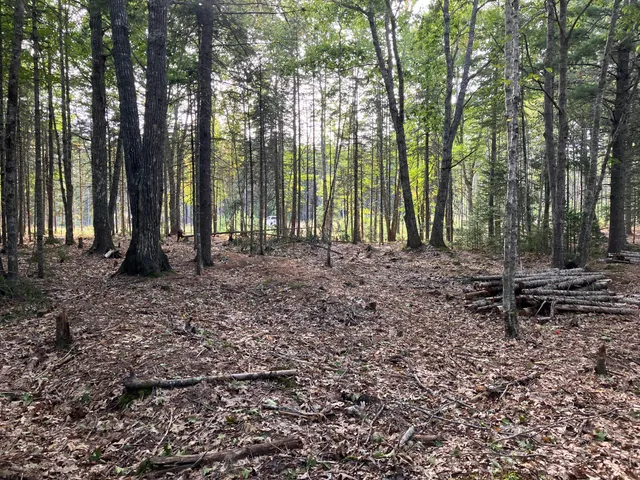 $199,000 | Lot 5 Bluff Road, Bar Harbor, ME 04609