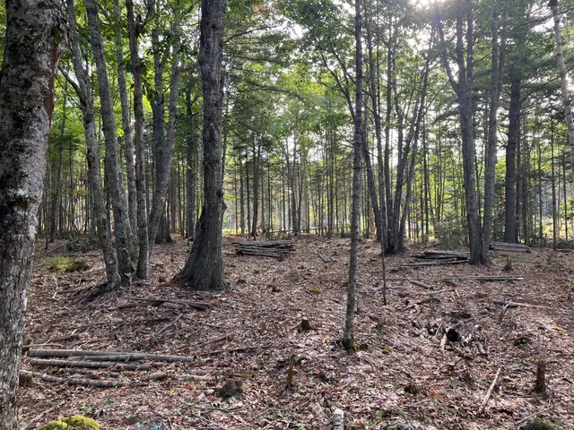 $199,000 | Lot 5 Bluff Road, Bar Harbor, ME 04609