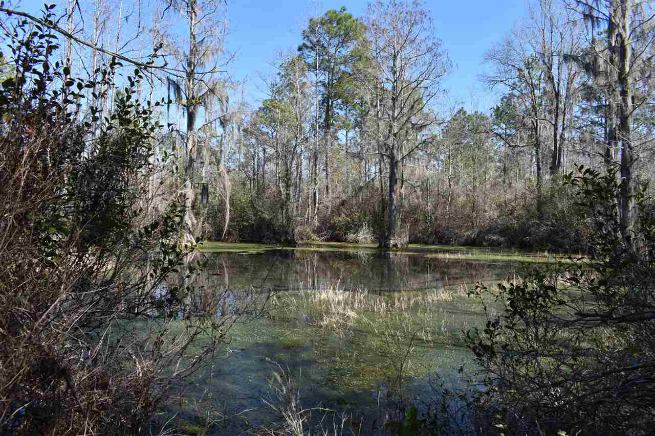 Vacant Southwest San Pedro Road Madison, FL 32340 - Photo 12 of 36 Gallery Image 12