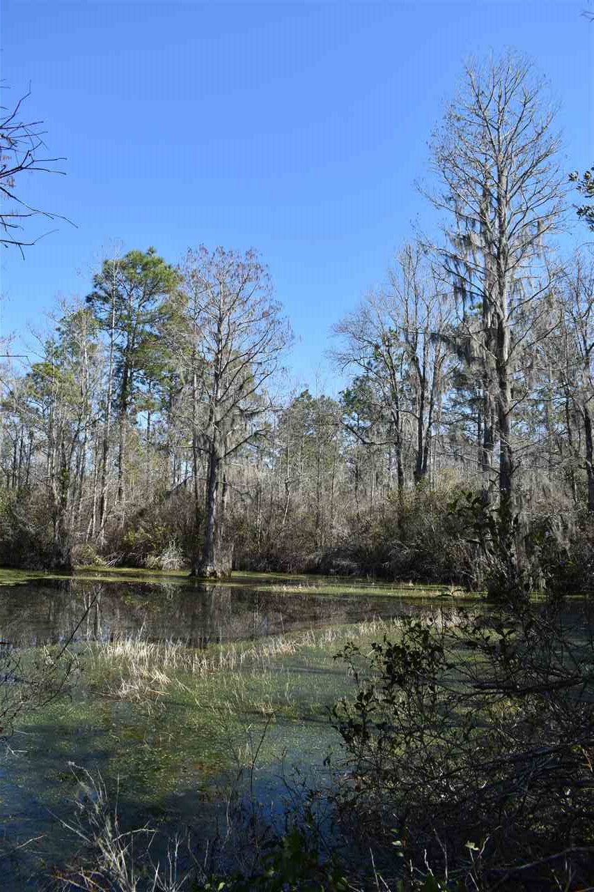 Vacant Southwest San Pedro Road Madison, FL 32340 - Photo 15 of 36 Gallery Image 15