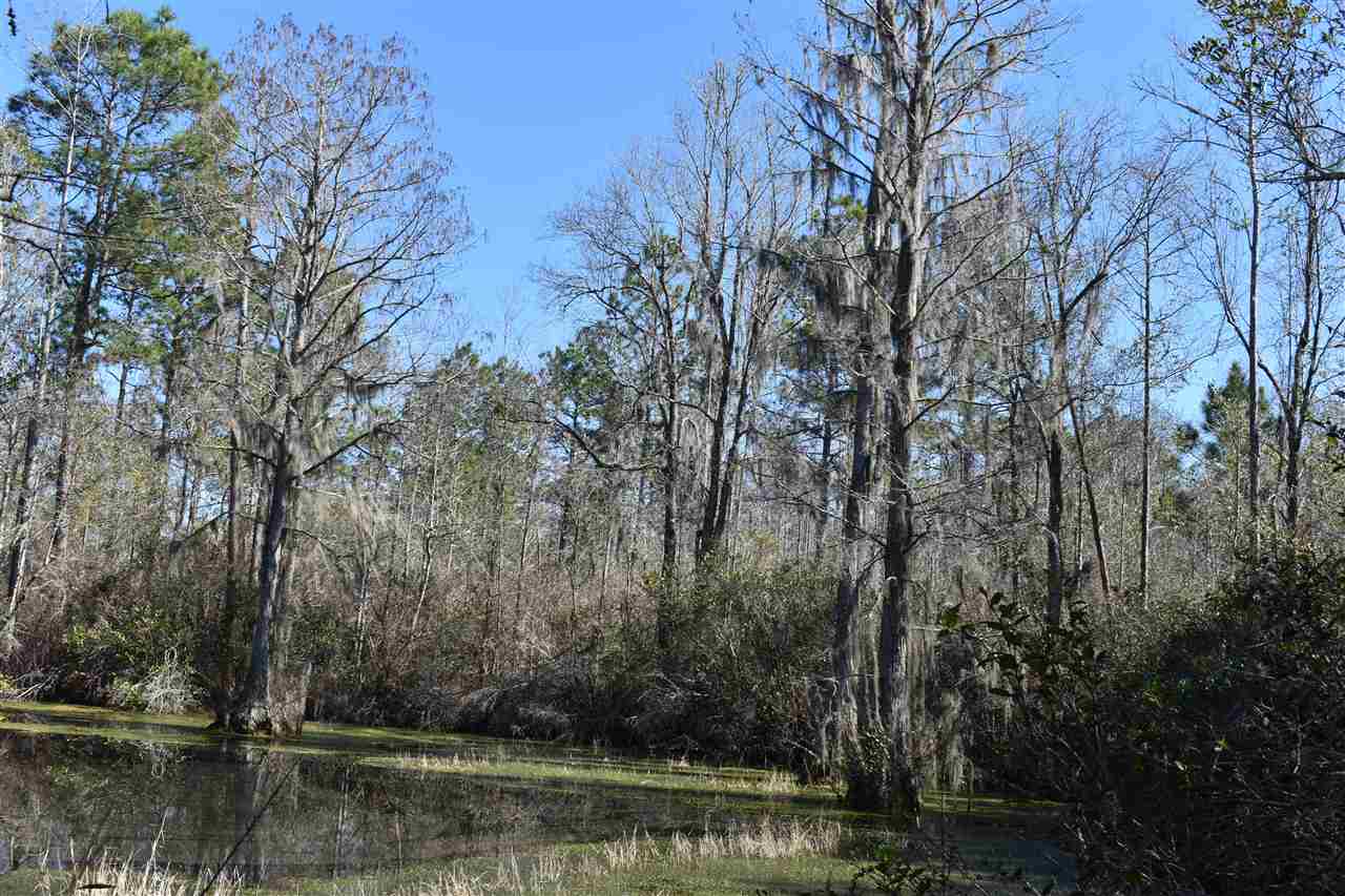 Vacant Southwest San Pedro Road Madison, FL 32340 - Photo 17 of 36 Gallery Image 17