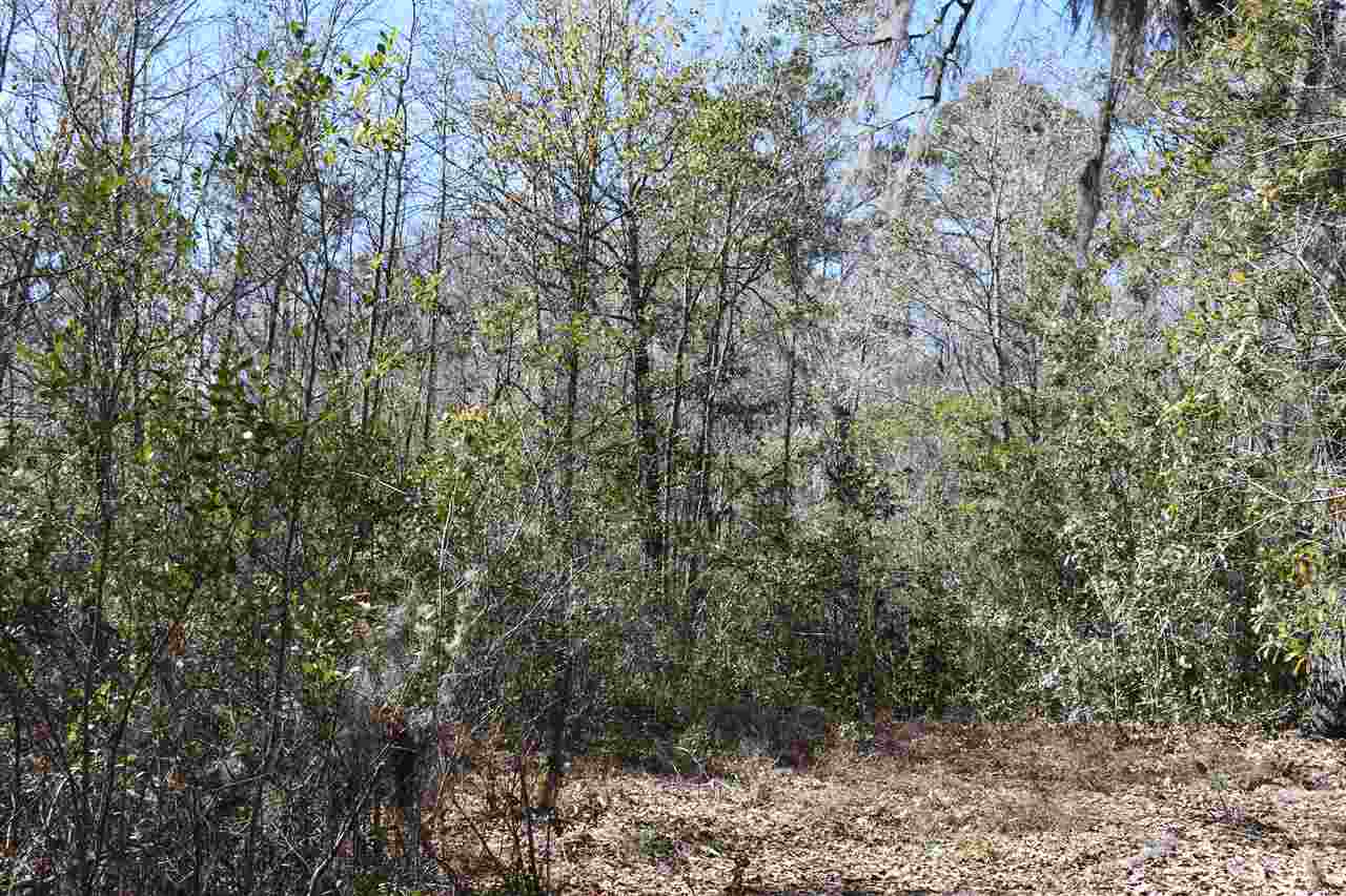 Vacant Southwest San Pedro Road Madison, FL 32340 - Photo 23 of 36 Gallery Image 23