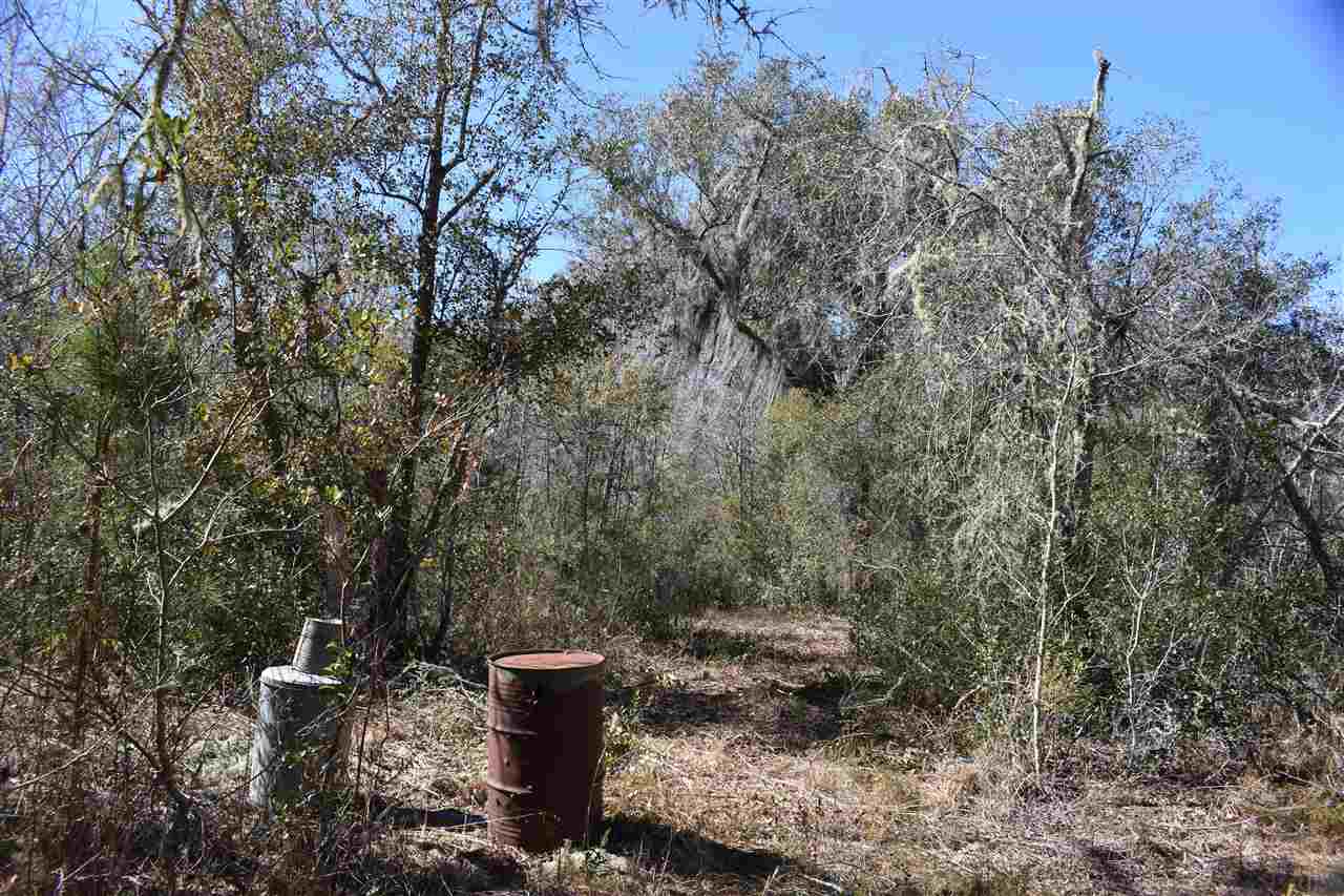 Vacant Southwest San Pedro Road Madison, FL 32340 - Photo 24 of 36 Gallery Image 24