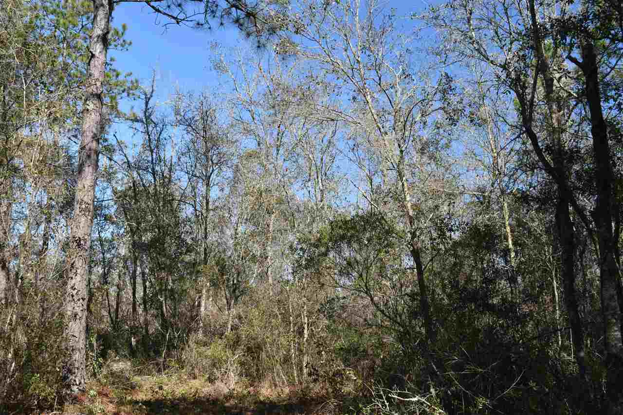 Vacant Southwest San Pedro Road Madison, FL 32340 - Photo 25 of 36 Gallery Image 25