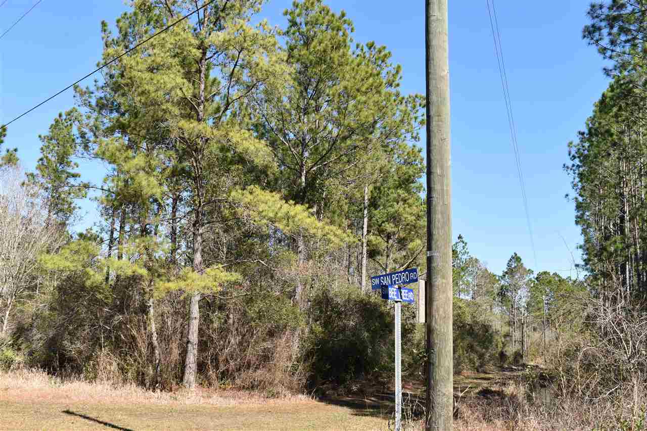 Vacant Southwest San Pedro Road Madison, FL 32340 - Photo 35 of 36 Gallery Image 35