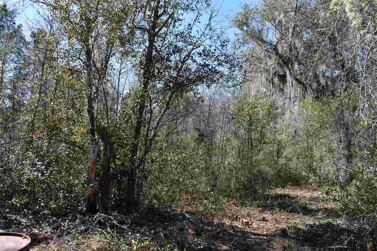 Vacant Southwest San Pedro Road Madison, FL 32340 - Photo 6 of 36 Gallery Image 6