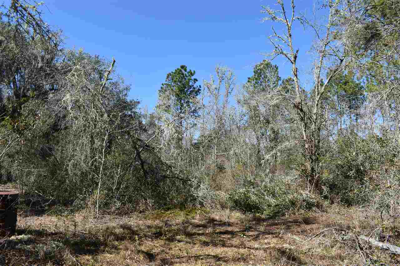 Vacant Southwest San Pedro Road Madison, FL 32340 - Photo 7 of 36 Gallery Image 7