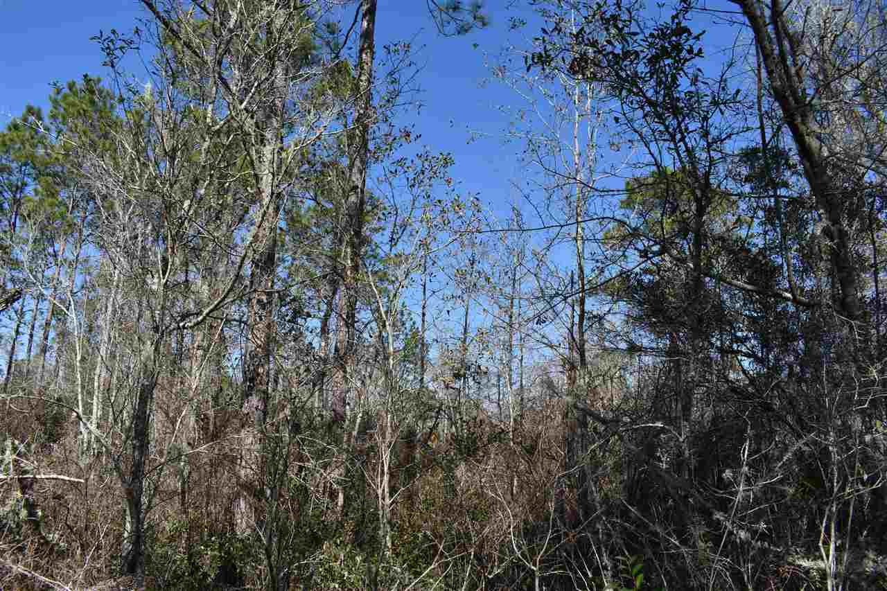 Vacant Southwest San Pedro Road Madison, FL 32340 - Photo 8 of 36 Gallery Image 8