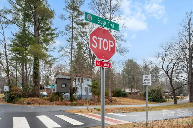 a view of road with large trees