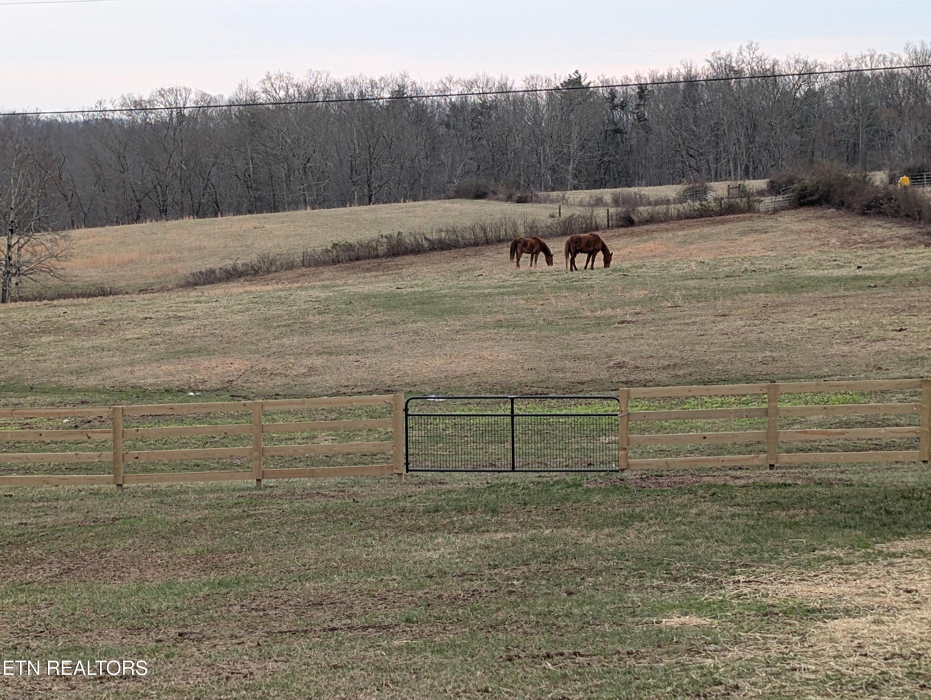 245 Happy Top Road Grandview, TN 37337 - Photo 25 of 27 PXL_20260302_224325633