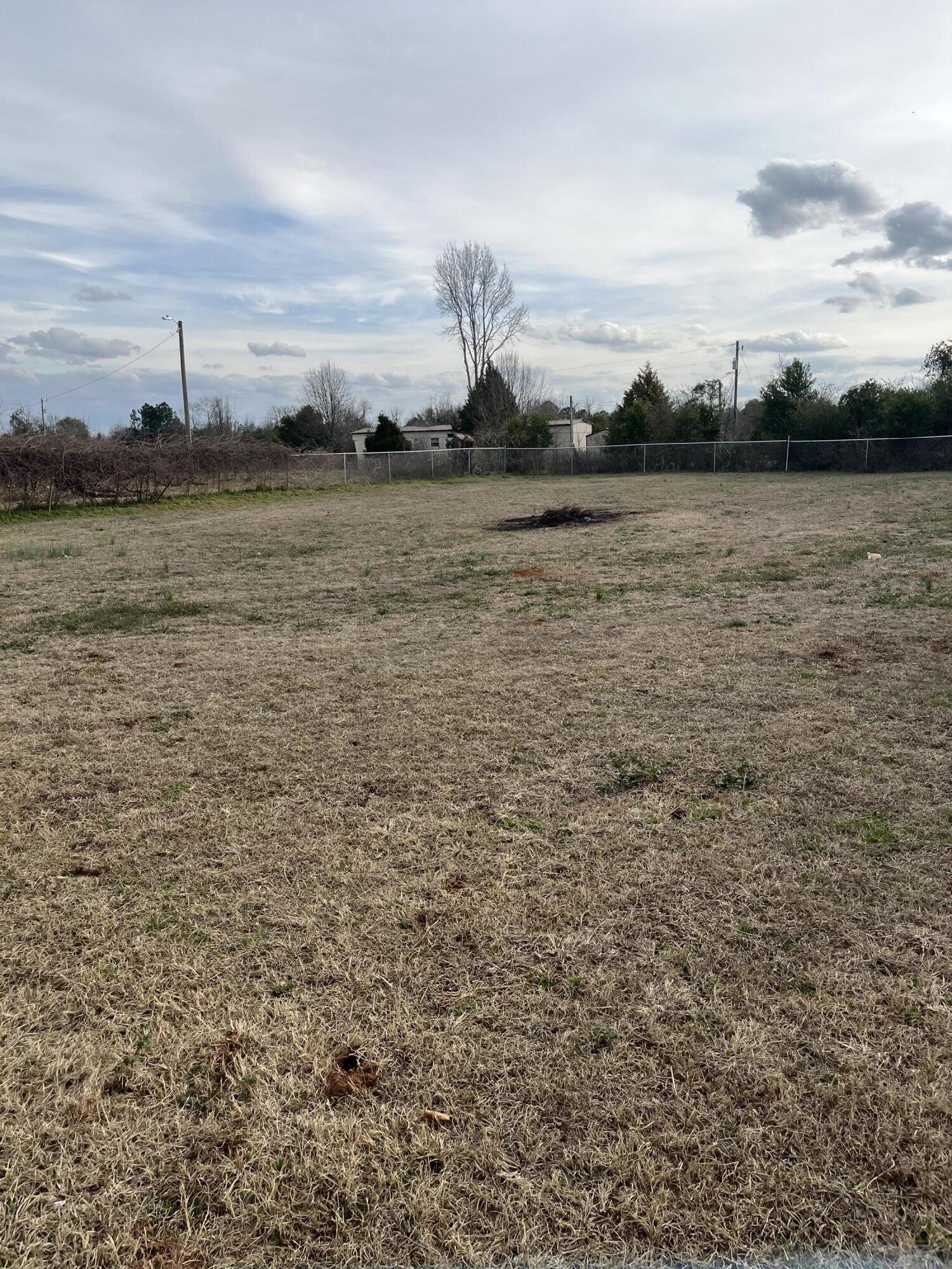 1952 Brown Road Hephzibah, GA 30815 - Photo 29 of 29 Brown Rd back yard