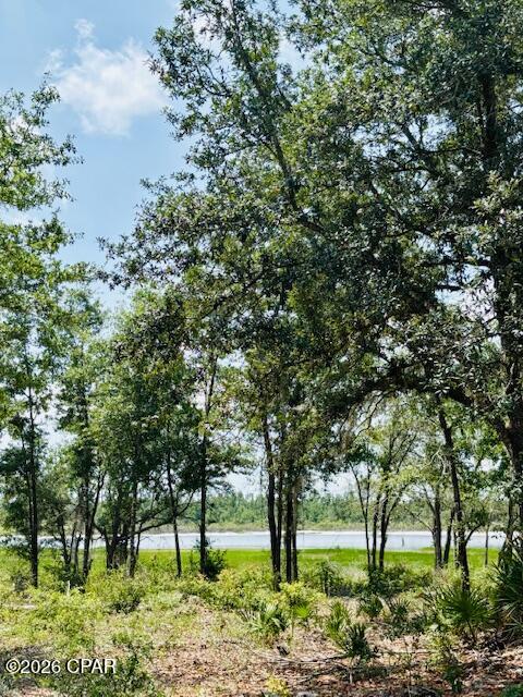 0 Lake Ridge Drive Chipley, FL 32428 - Photo 15 of 21