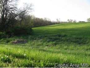 3402 Shady Point Lane Waverly, IL 62692 - Photo 2 of 5