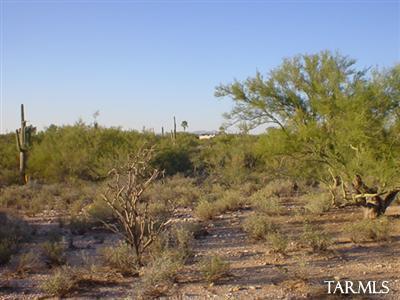 300 East Rudasill Road, Unit BLOCK Tucson, AZ 85704 - Photo 4 of 8