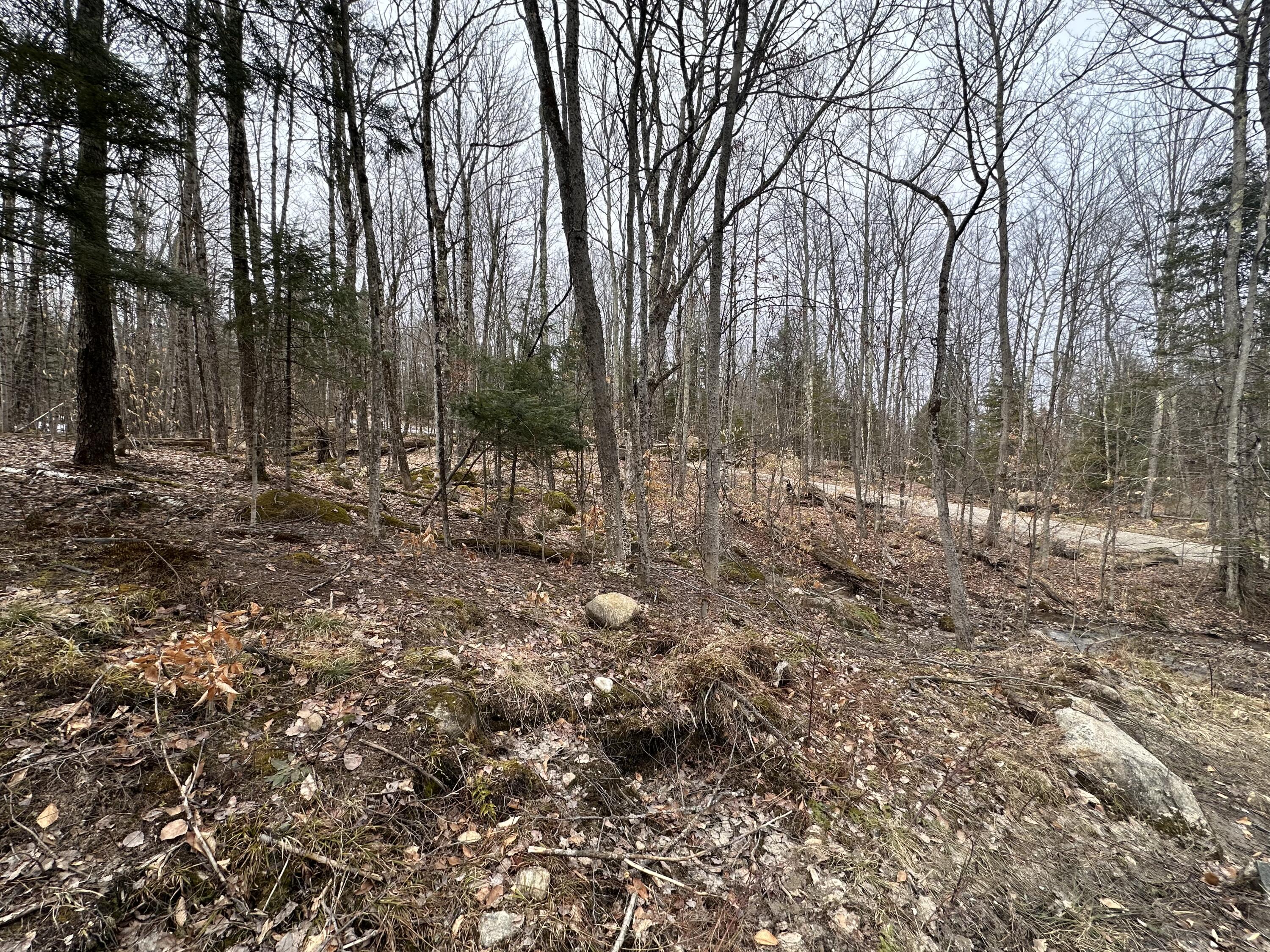 0 Johnson Road Malone, NY 12953 - Photo 8 of 29