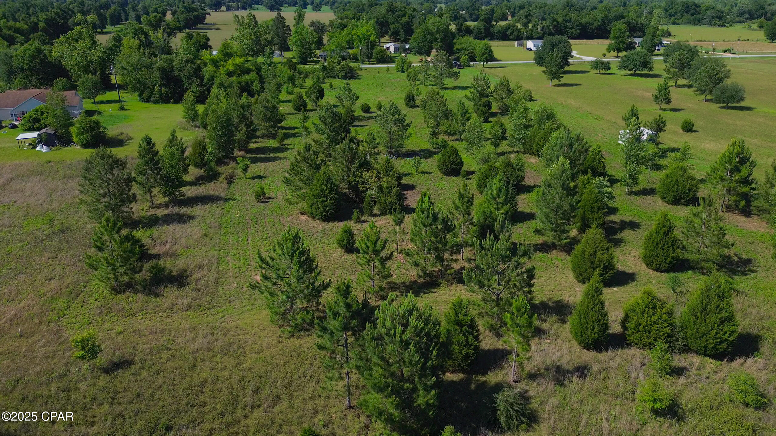 0 Suncrest Road Marianna, FL 32448 - Photo 8 of 12 Gallery Image 8