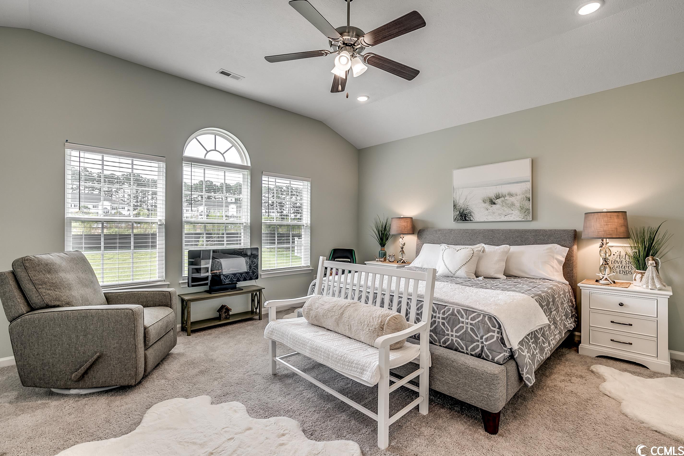 672 Sun Colony Boulevard Longs, SC 29568 - Photo 6 of 14