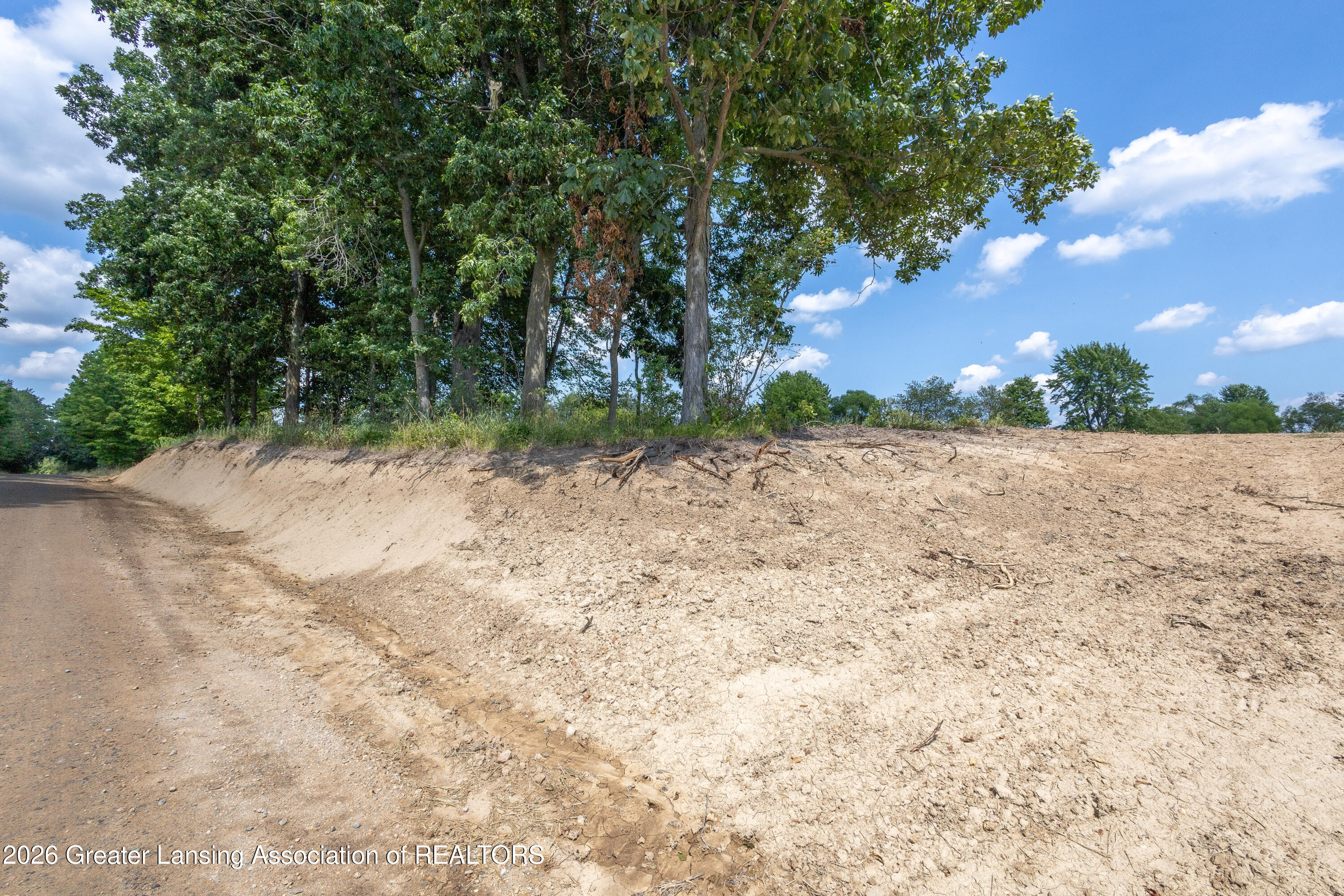 0 Bauer Road Eagle, MI 48822 - Photo 16 of 18 EAGLE VL-16