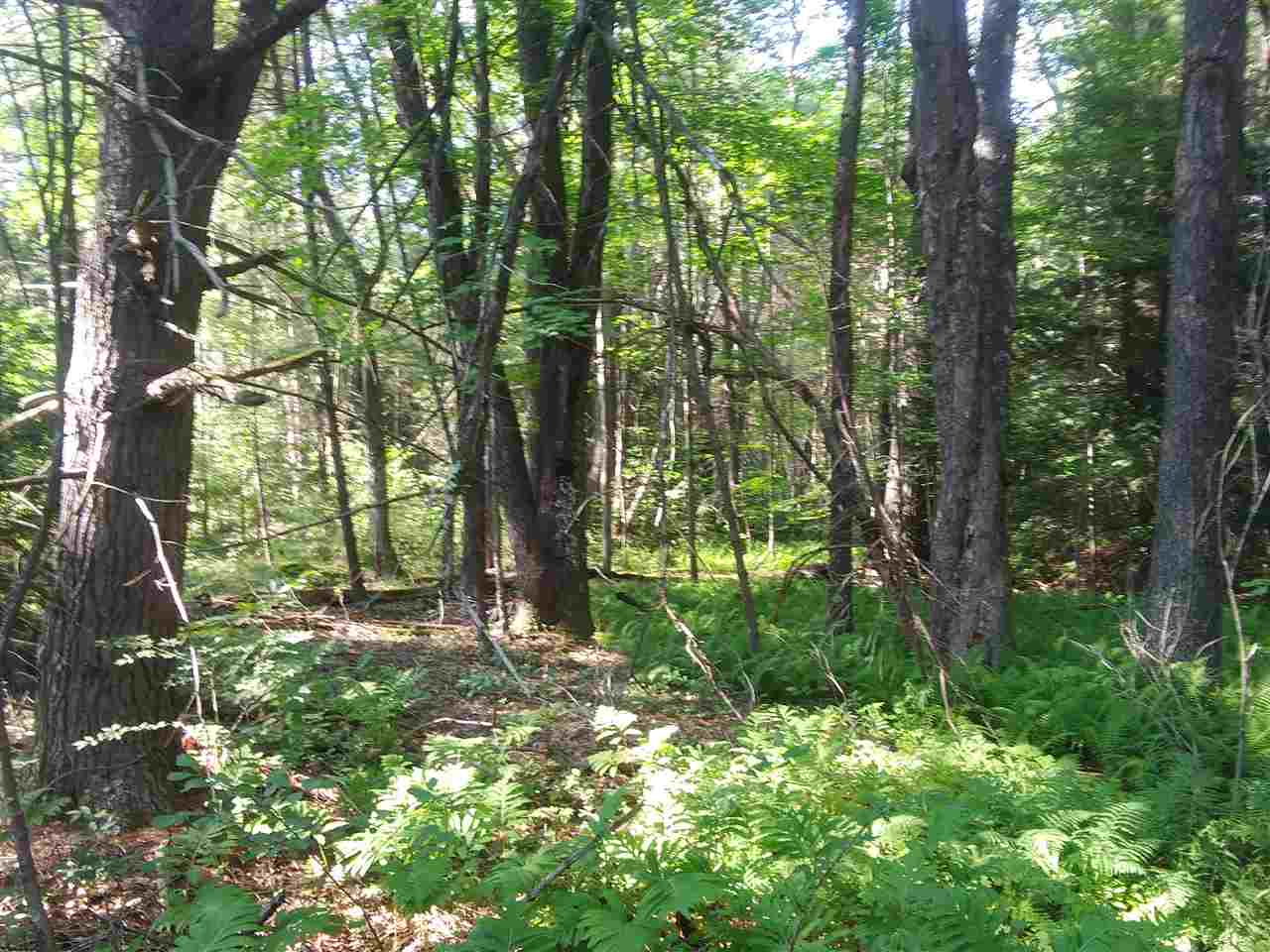 0 Winchester Road Richmond, NH 03470 - Photo 2 of 4