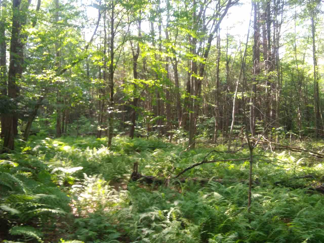 0 Winchester Road Richmond, NH 03470 - Photo 3 of 4
