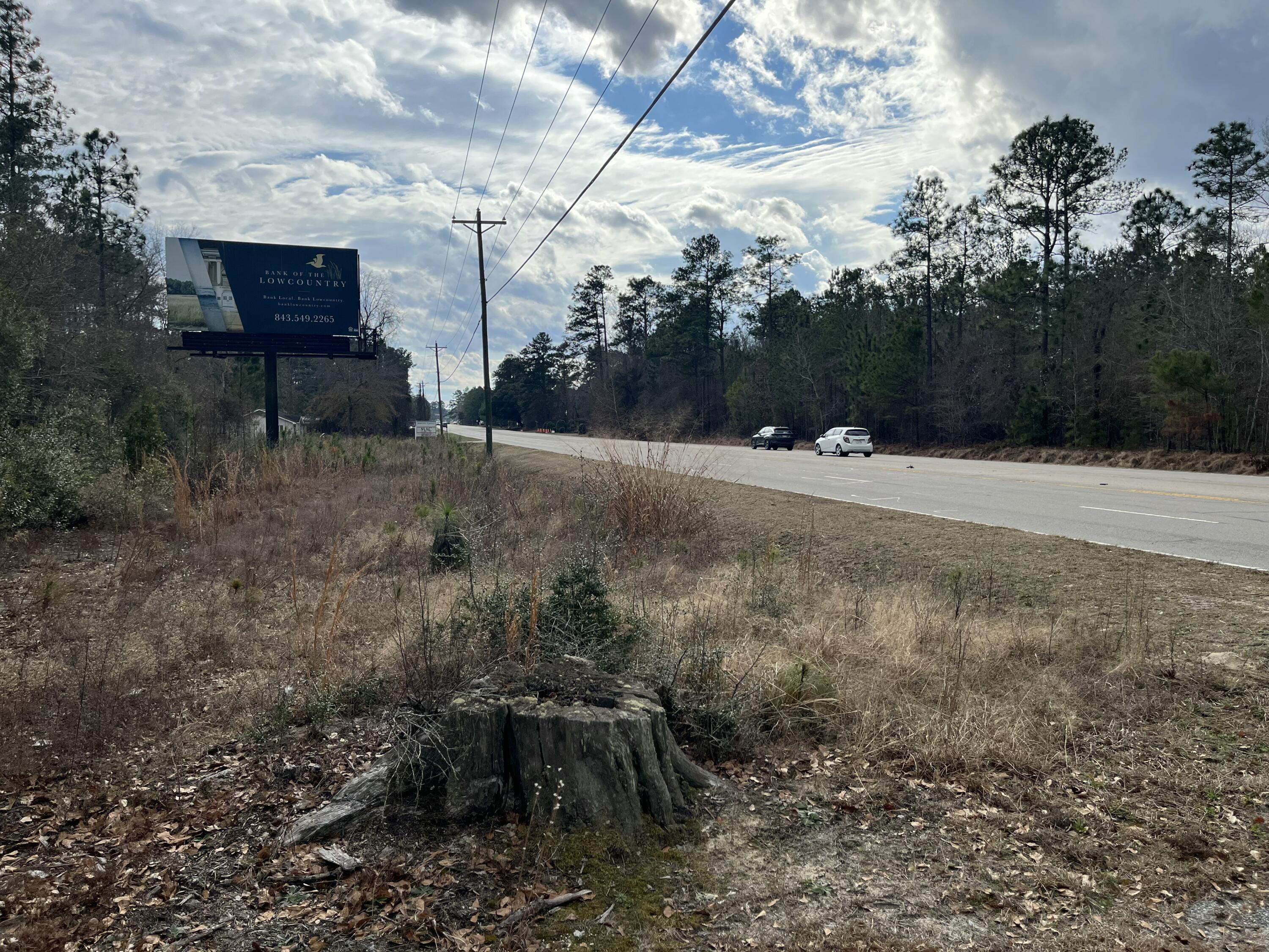 101 Driggers Lane Walterboro, SC 29488 - Photo 11 of 25 IMG_5087