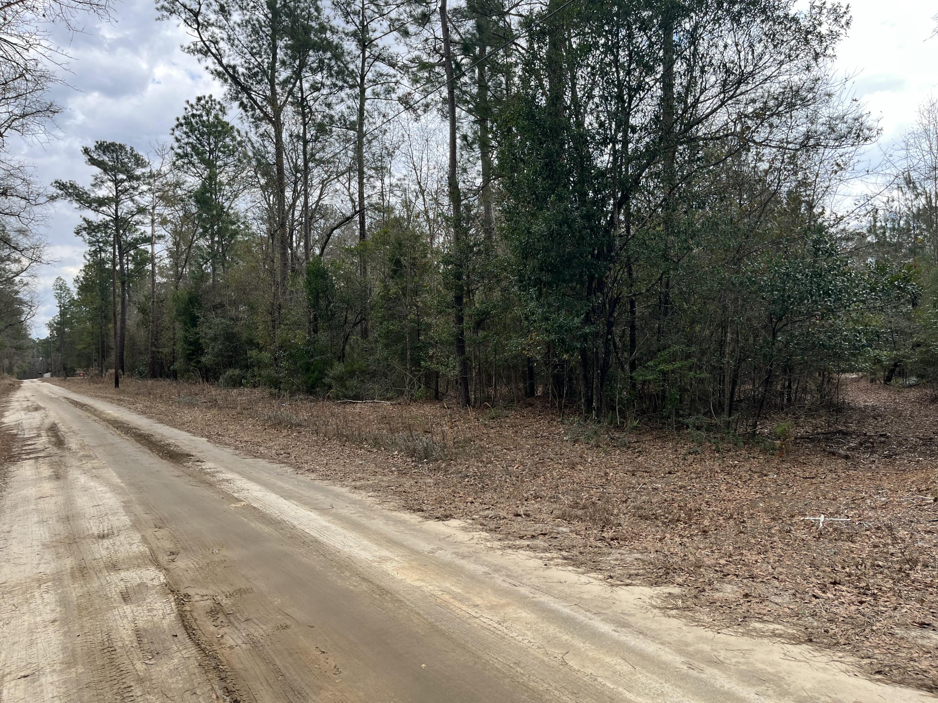 101 Driggers Lane Walterboro, SC 29488 - Photo 12 of 25 IMG_5094