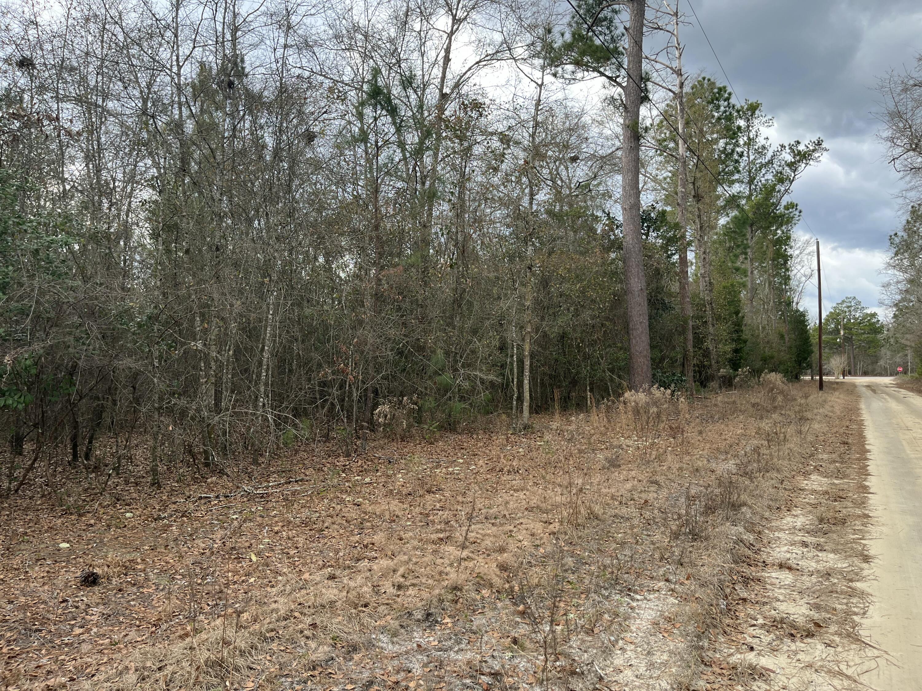 101 Driggers Lane Walterboro, SC 29488 - Photo 13 of 25 IMG_5097