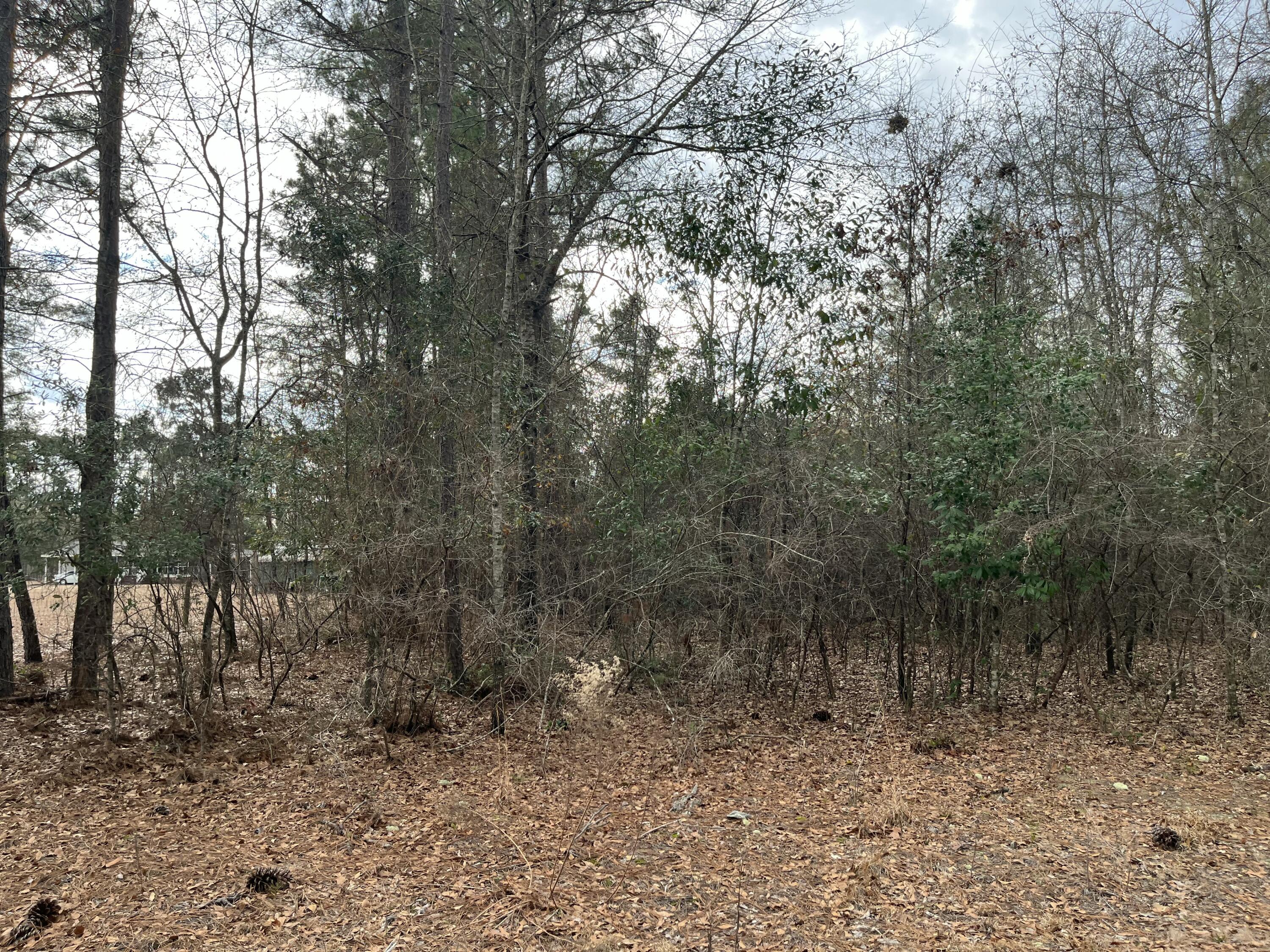 101 Driggers Lane Walterboro, SC 29488 - Photo 14 of 25 IMG_5099