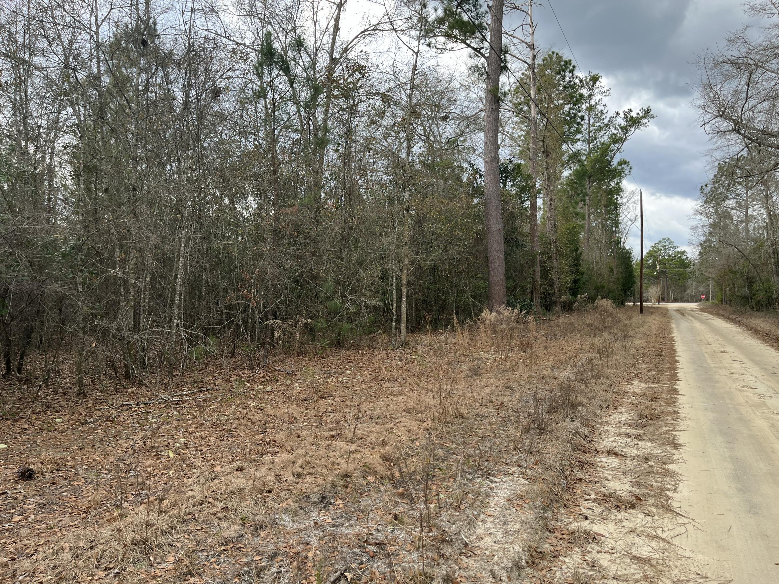 101 Driggers Lane Walterboro, SC 29488 - Photo 15 of 25 IMG_5100