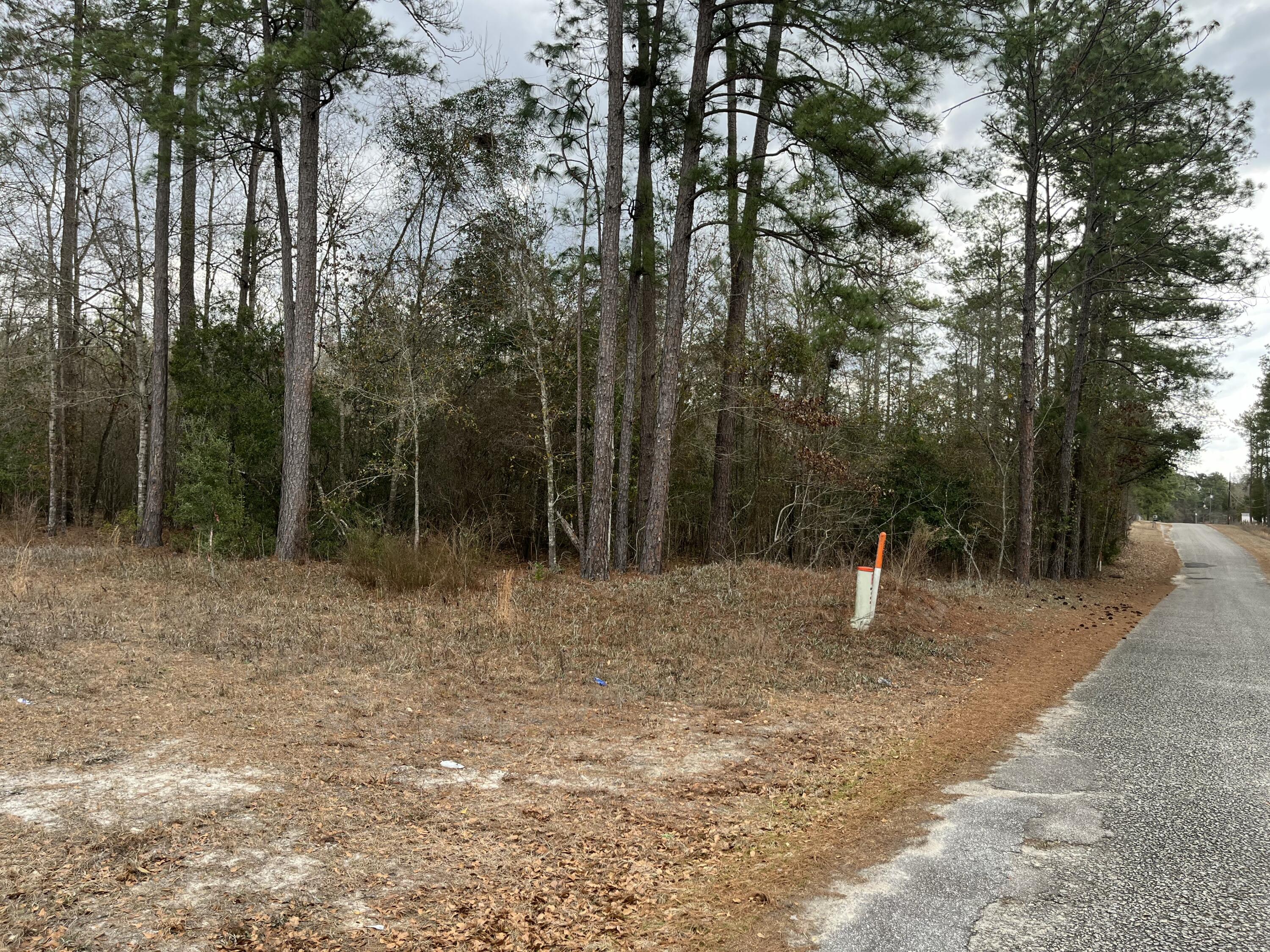 101 Driggers Lane Walterboro, SC 29488 - Photo 16 of 25 IMG_5101