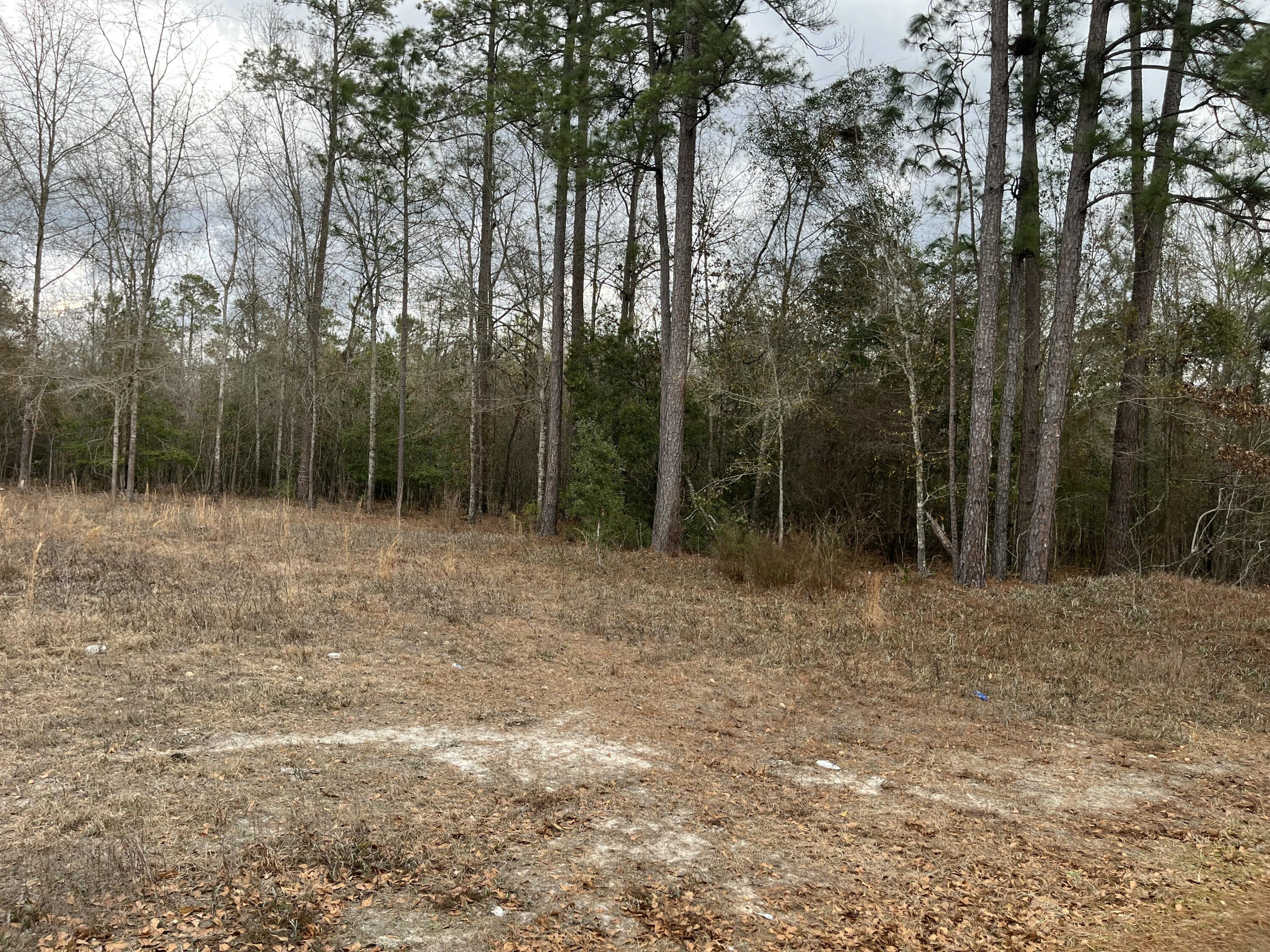 101 Driggers Lane Walterboro, SC 29488 - Photo 17 of 25 IMG_5103