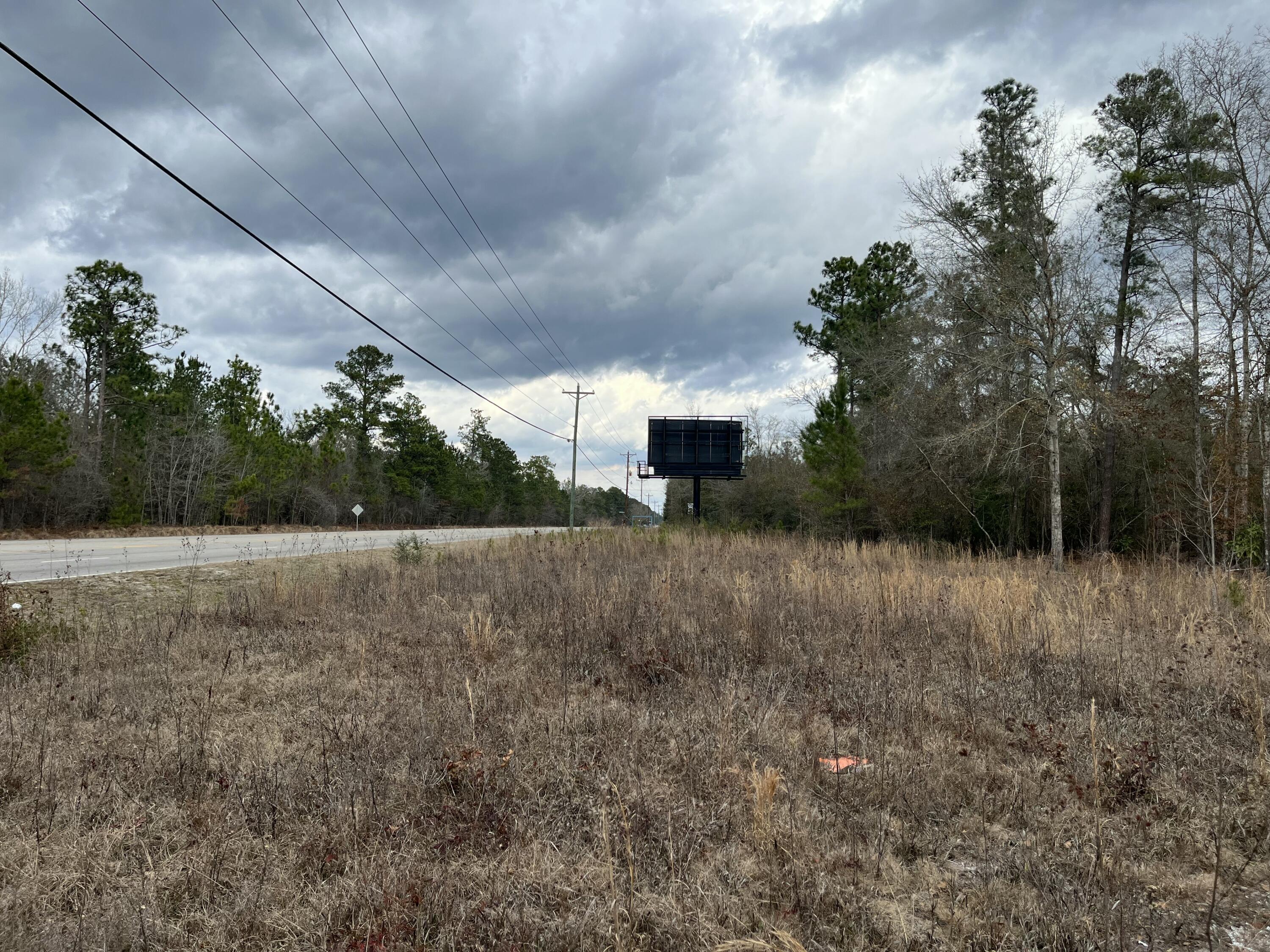 101 Driggers Lane Walterboro, SC 29488 - Photo 18 of 25 IMG_5104