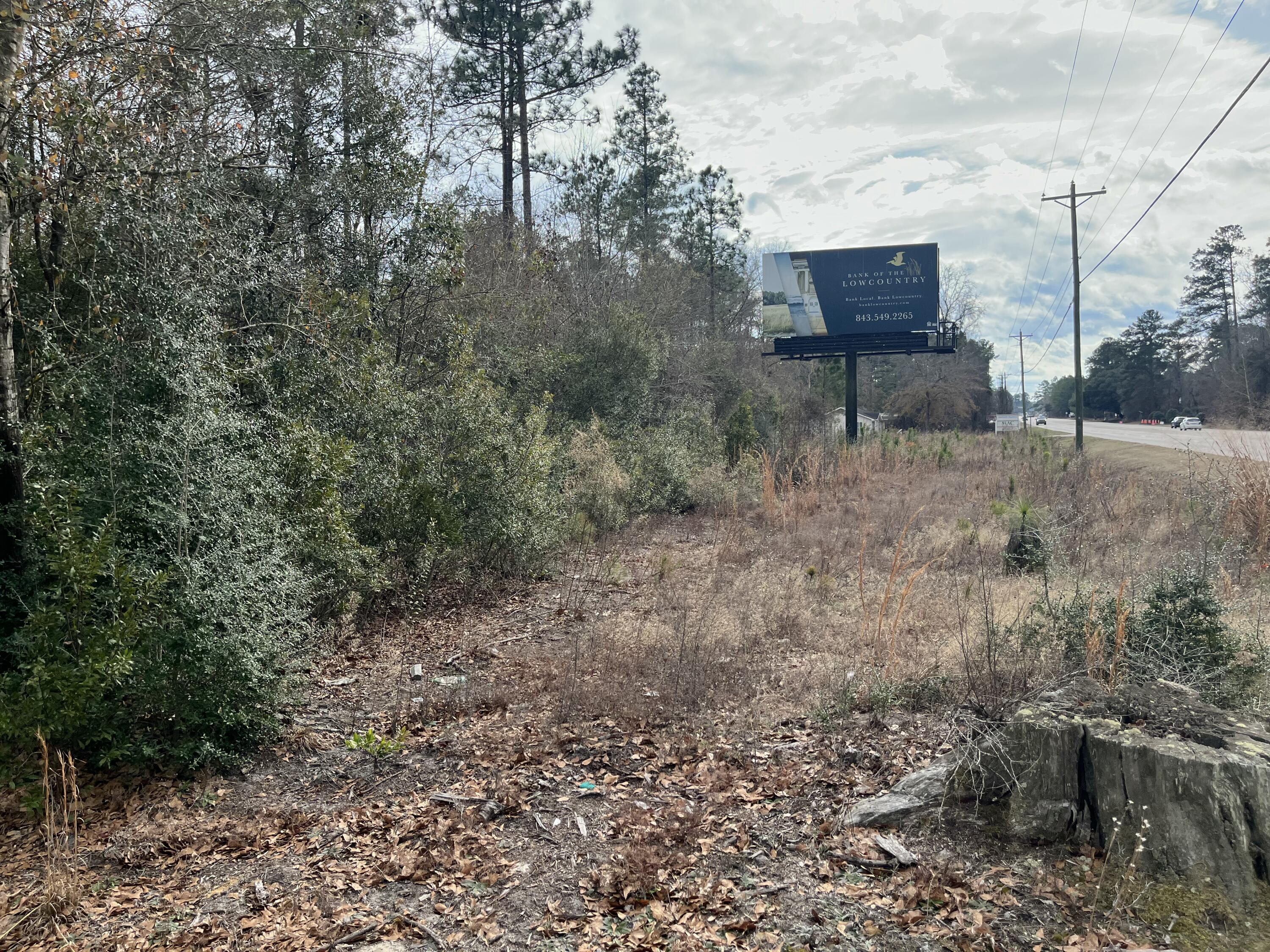 101 Driggers Lane Walterboro, SC 29488 - Photo 2 of 25 IMG_5089