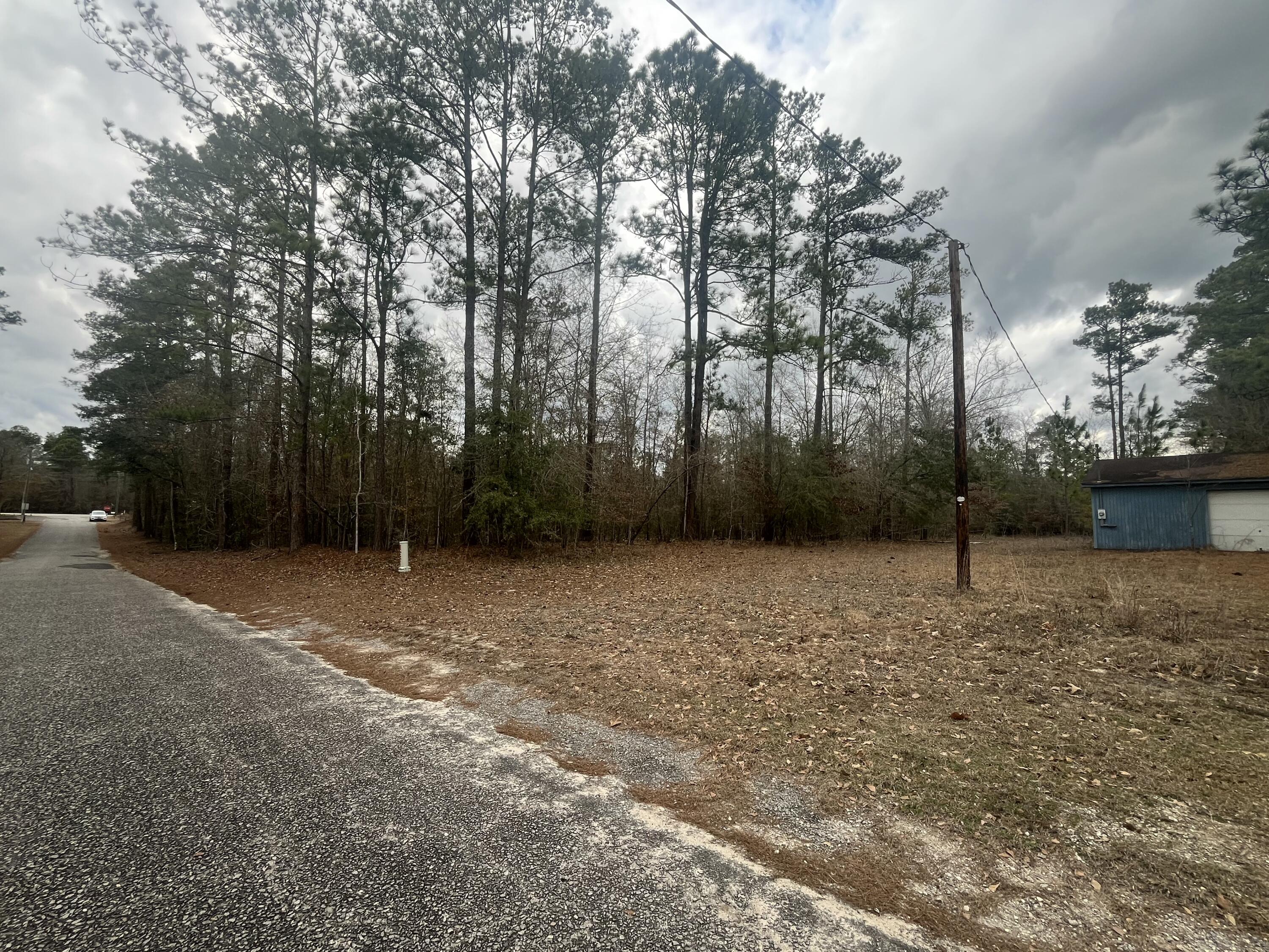 101 Driggers Lane Walterboro, SC 29488 - Photo 21 of 25 IMG_5108