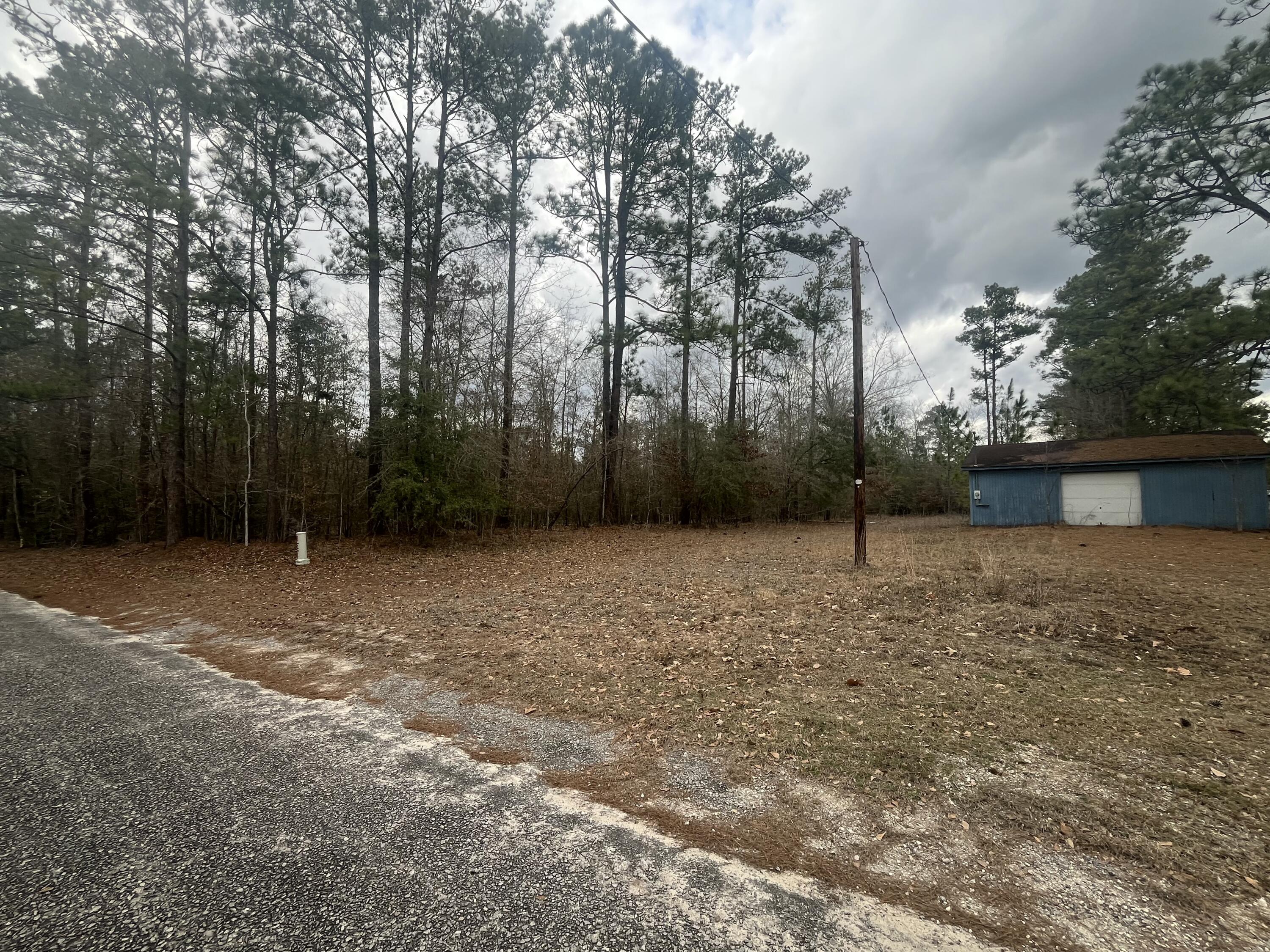 101 Driggers Lane Walterboro, SC 29488 - Photo 22 of 25 IMG_5109