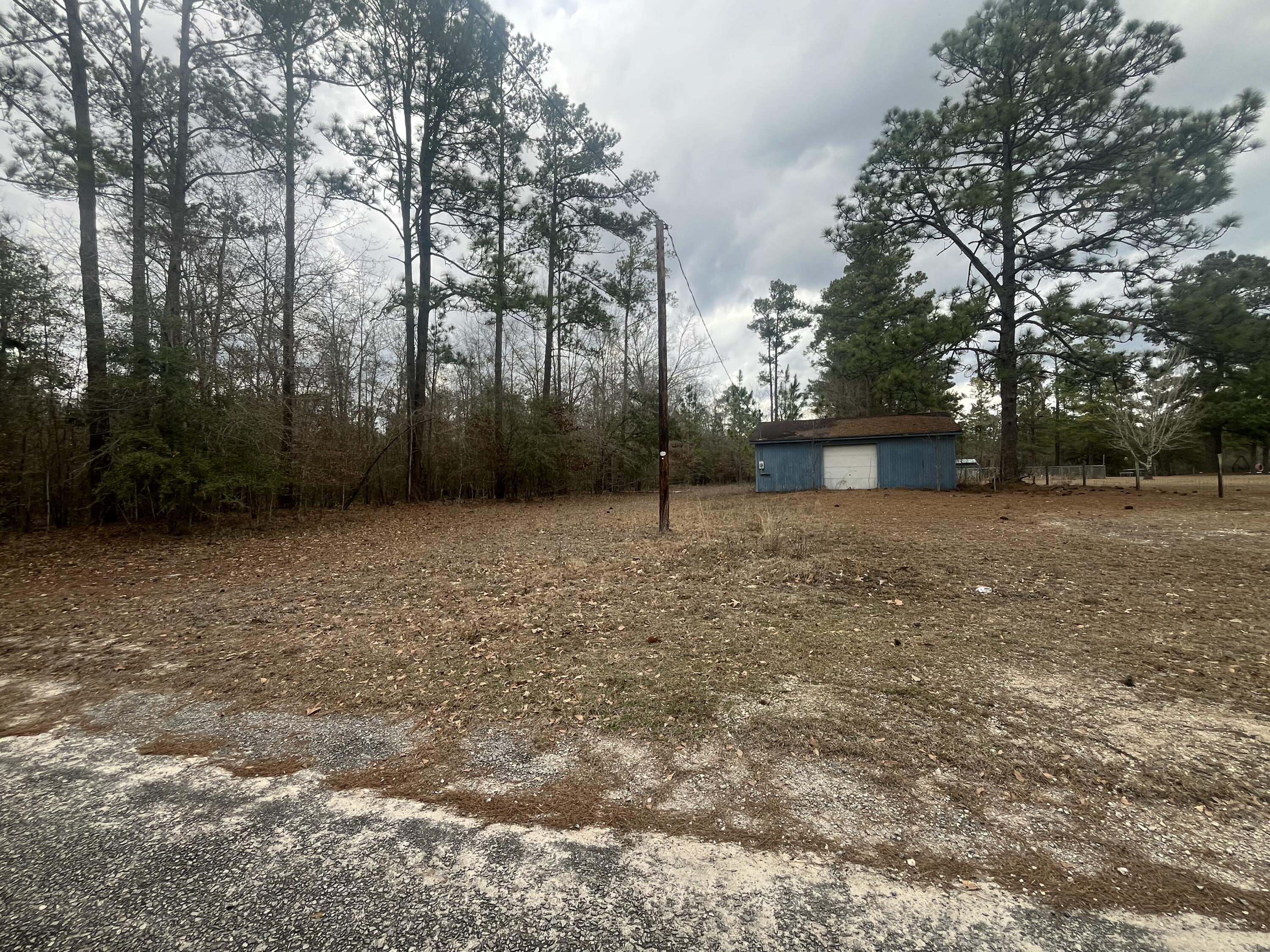 101 Driggers Lane Walterboro, SC 29488 - Photo 23 of 25 IMG_5110