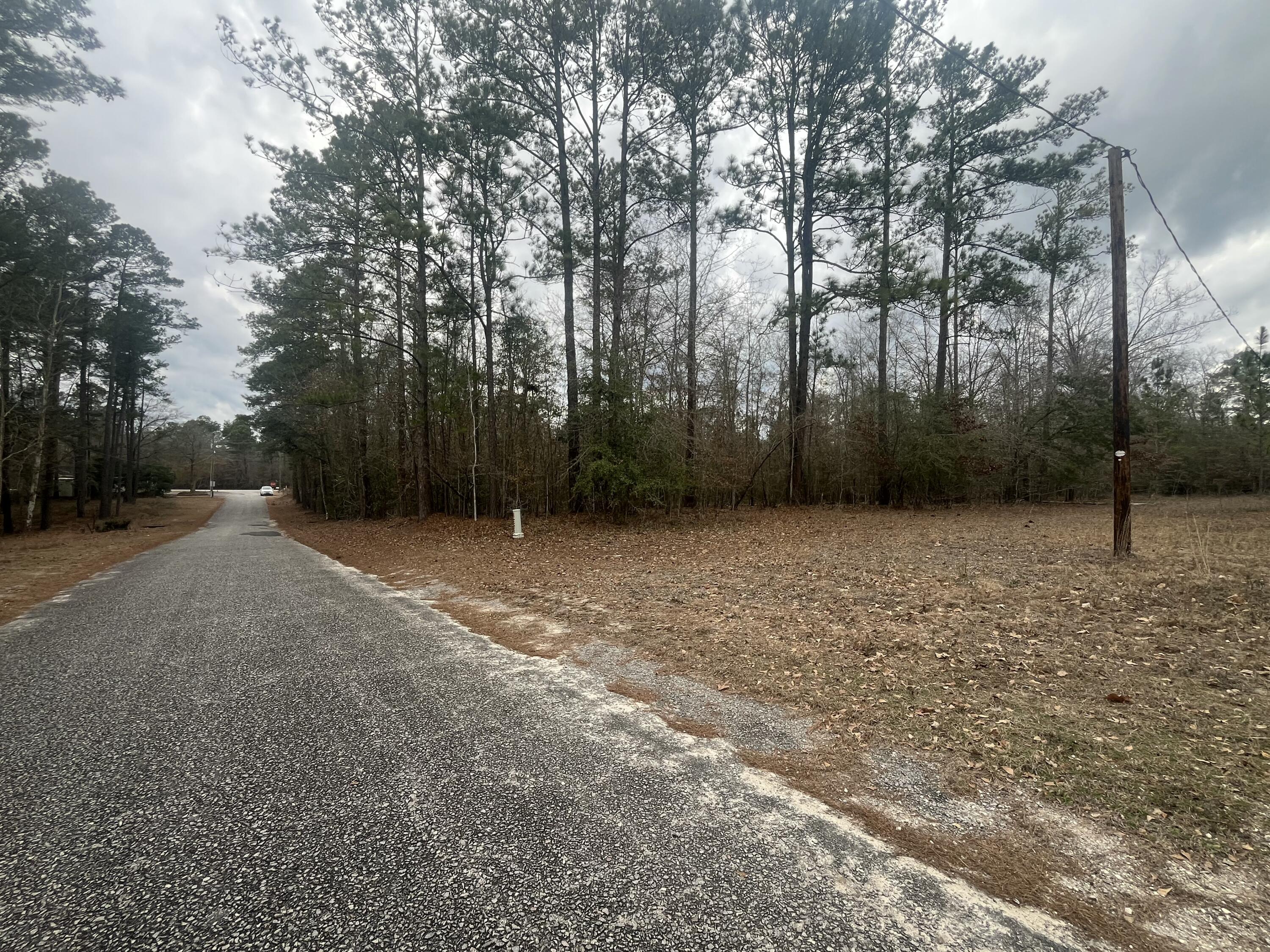 101 Driggers Lane Walterboro, SC 29488 - Photo 25 of 25 IMG_5112