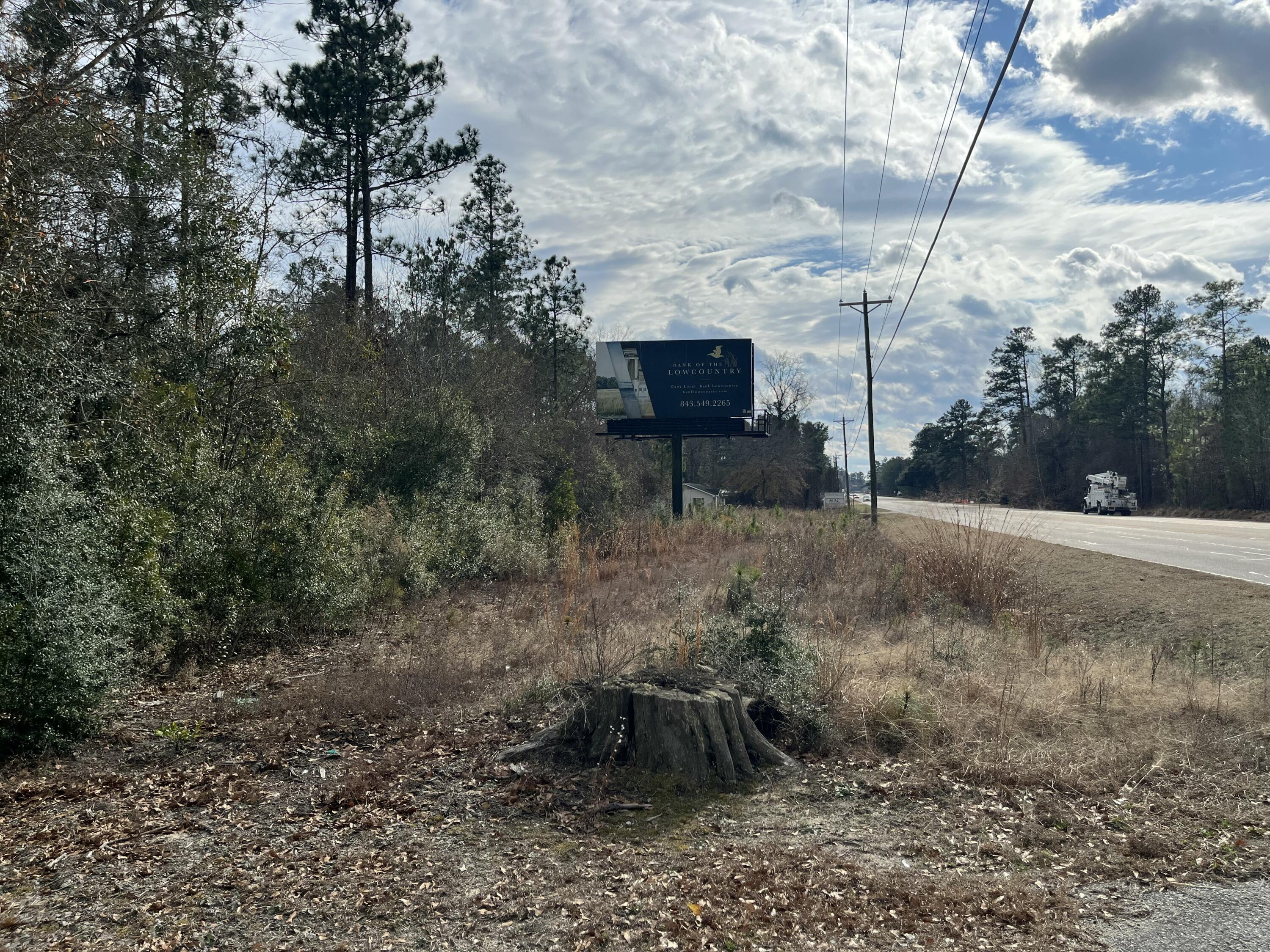 101 Driggers Lane Walterboro, SC 29488 - Photo 4 of 25 IMG_5082