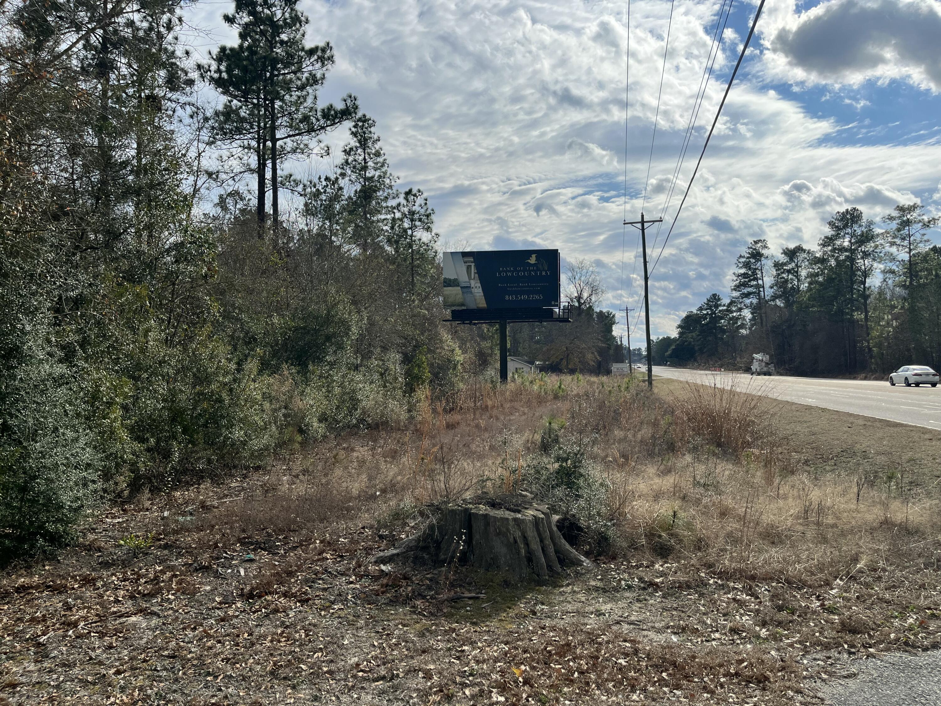 101 Driggers Lane Walterboro, SC 29488 - Photo 10 of 25 IMG_5083
