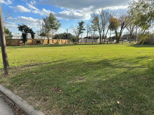 a view of a park with large trees