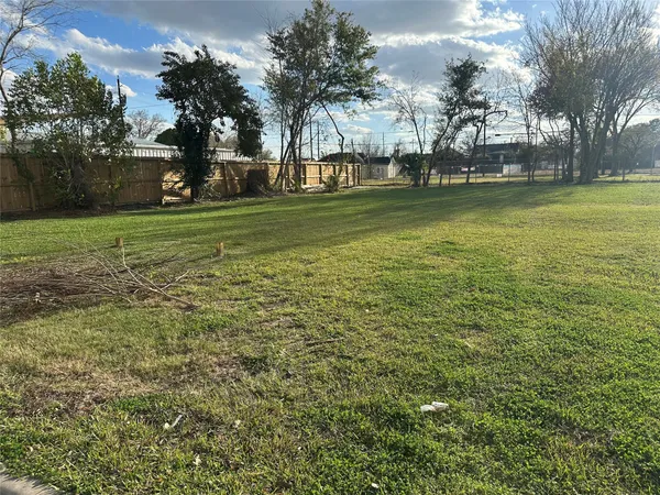 a view of a field with tree s